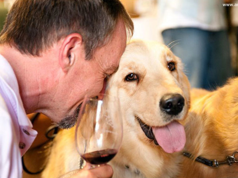 Mutt Lynch Winery loves dogs