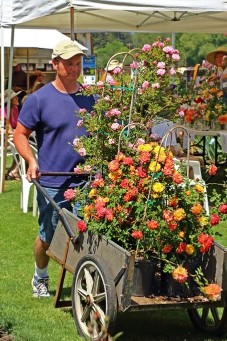 Nursery Full Wagon