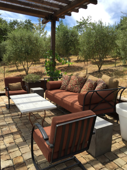 Relax among the olive trees