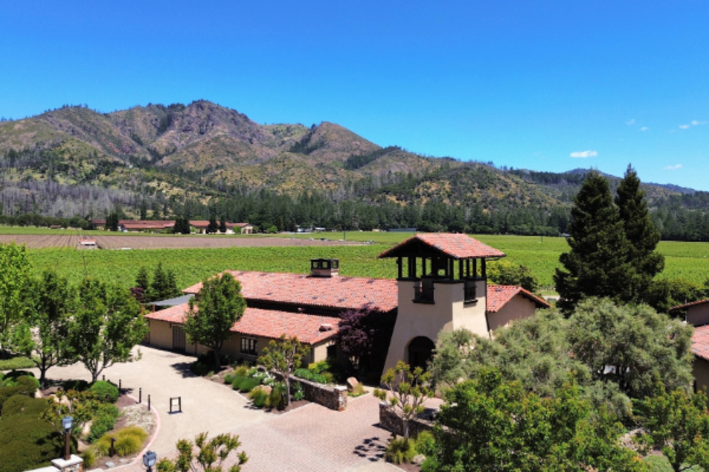 Endless Mountain and Vineyard Views