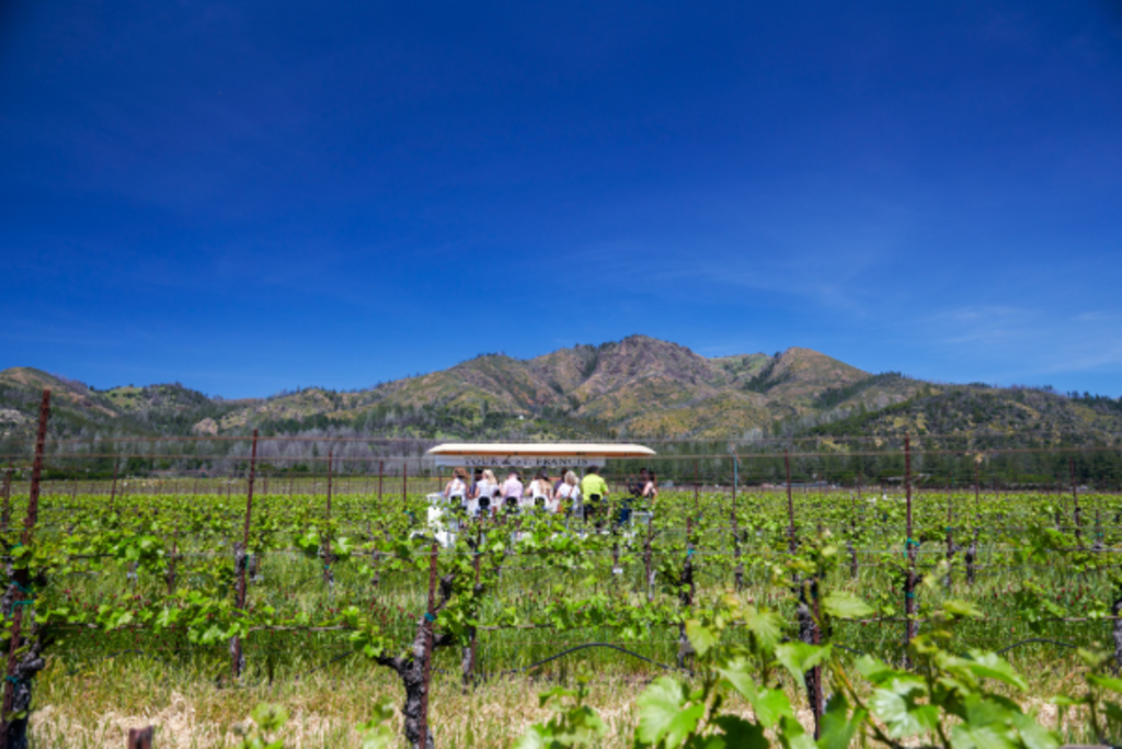 Tour de St. Francis Trolley Vineyard Tour & Wine Tasting
