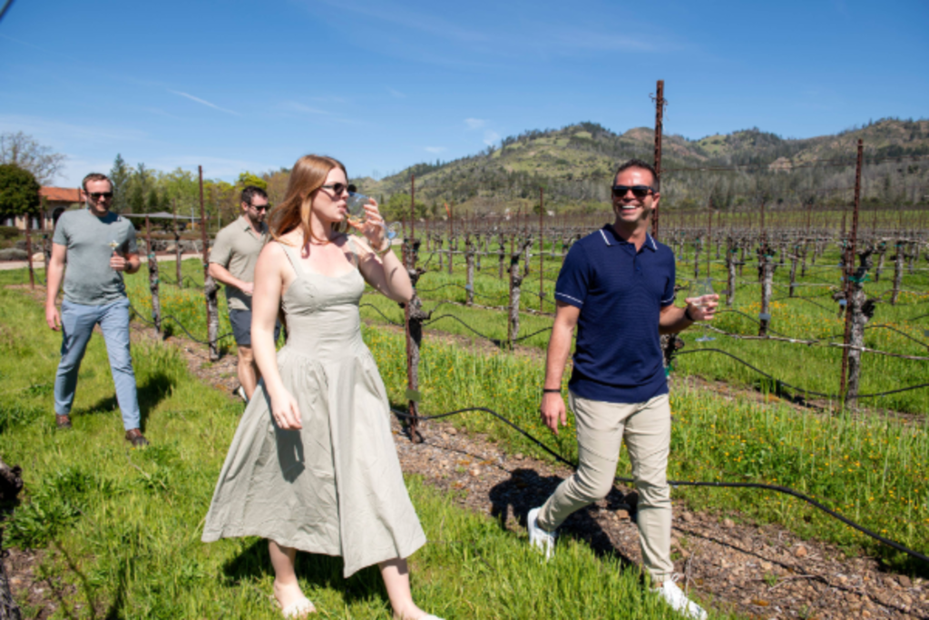 Self-Guided Vineyard Adventure