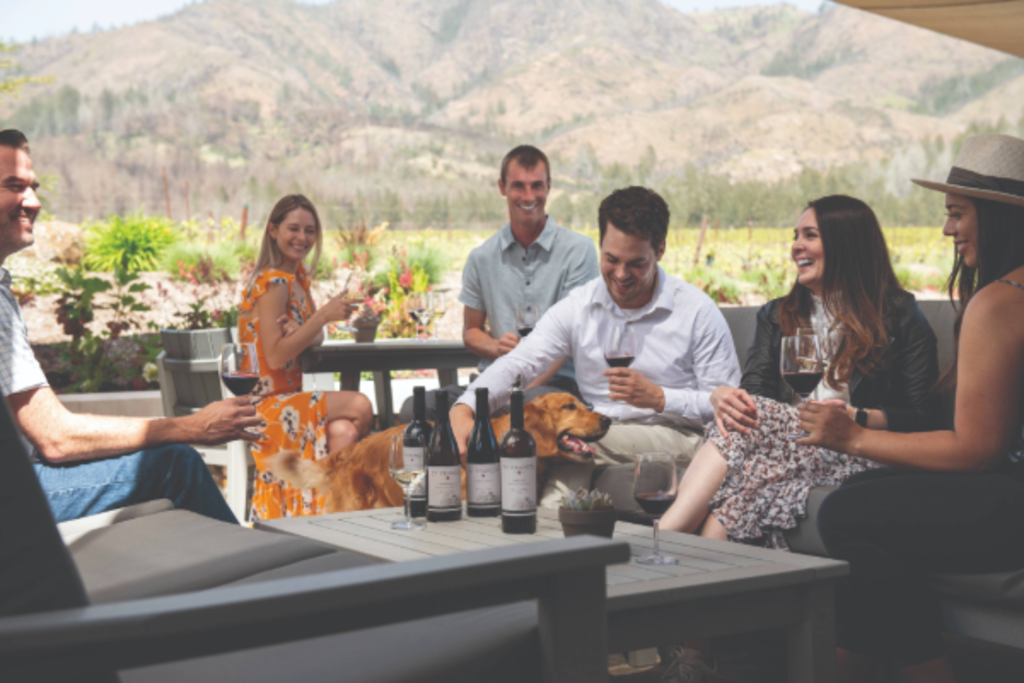 Dog Friendly Winery
