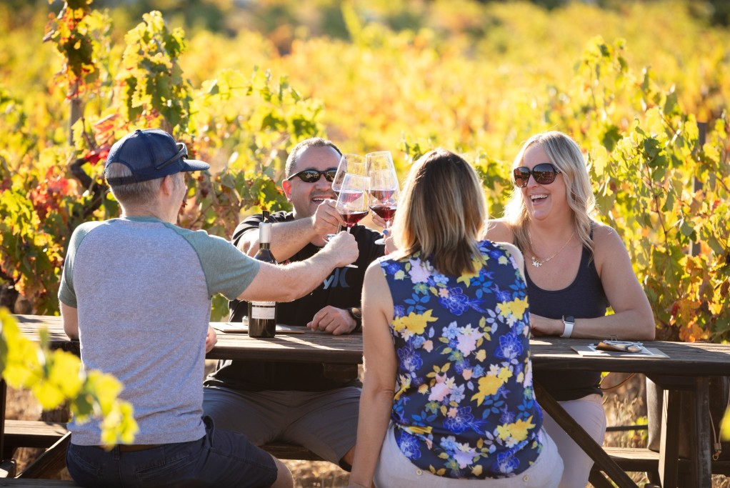 Tasting in the Vineyard