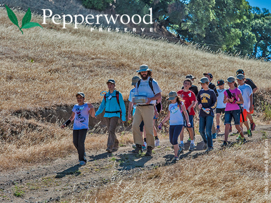 Budding Biologists summer camp at Pepperwood