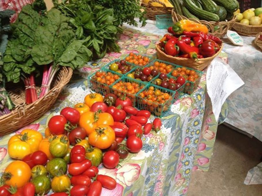 Petaluma Bounty