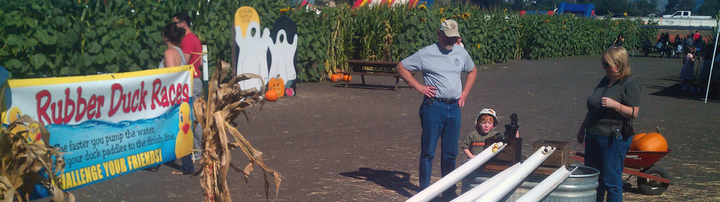 Petaluma Pumpkin