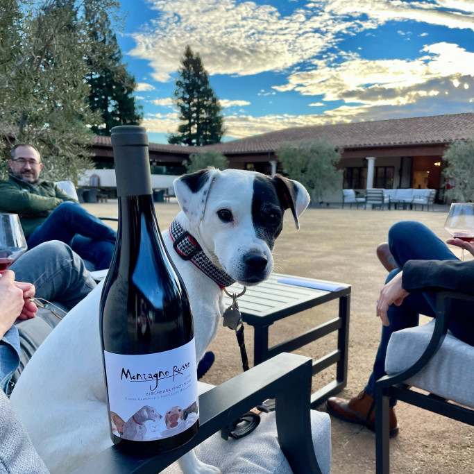 One of the most Dog-Friendly Tasting Rooms in Sonoma County