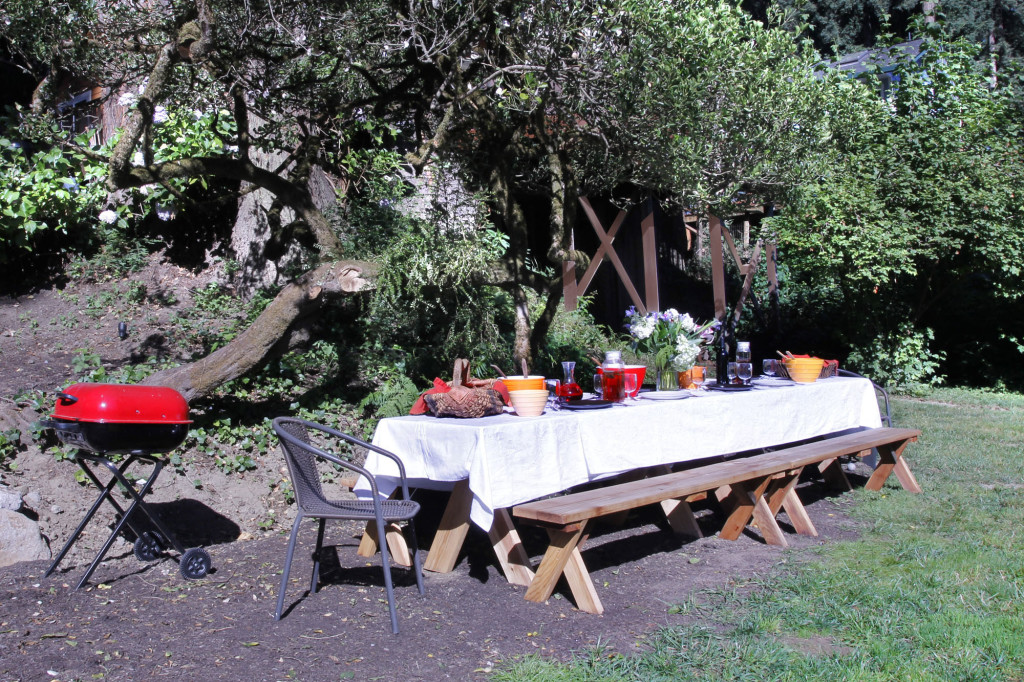 Picnic on the lawn