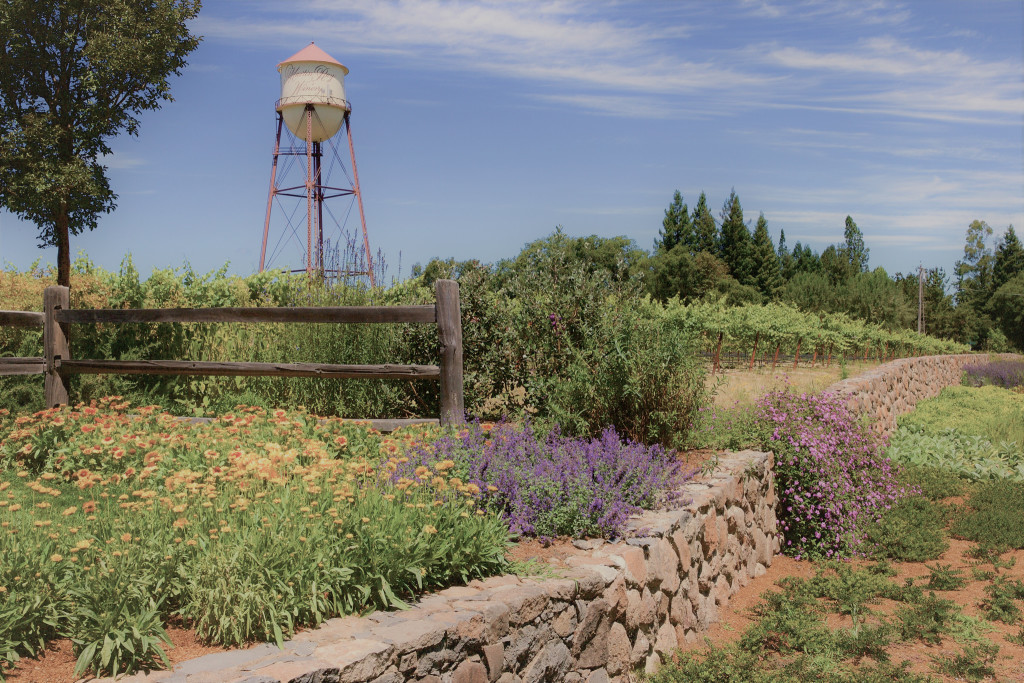 Historic Water Tower and Estate Vineyard