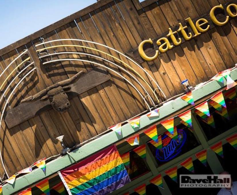 Rainbow Cattle Company