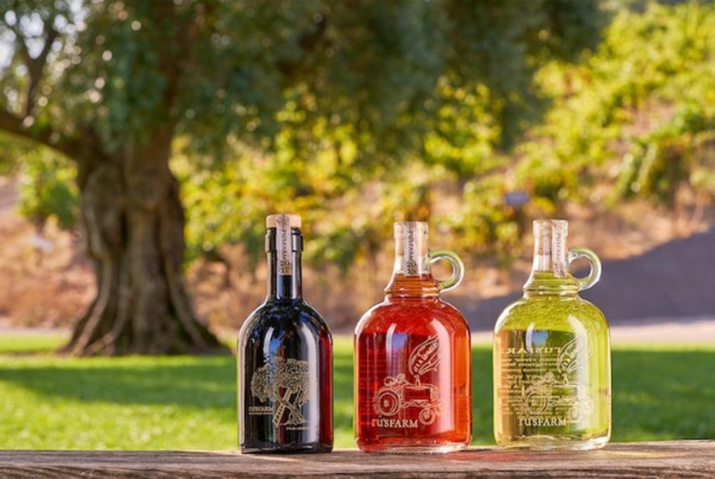 Each year our vineyard produces delicious wine + olive oil from our trees