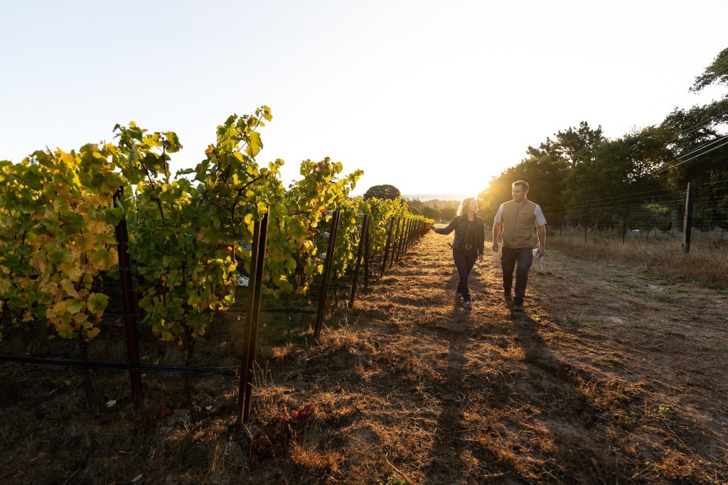 Kathryn & Paul Sloan – The Hearts of Small Vines
