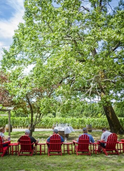 Small Vines Private Tasting Experience