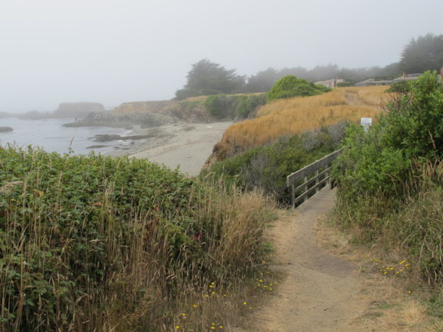 Shell Beach Coastal Access Trail
