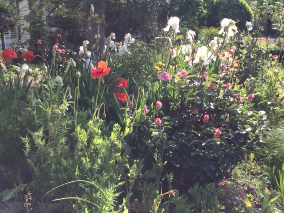 Garden on south side of house.