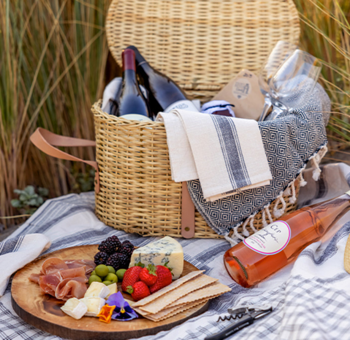 Sonoma Coast Bodega Ocean Picnic