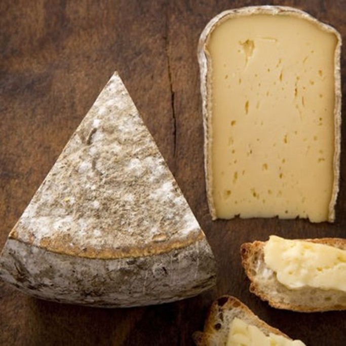 Sonoma Coast Brie Cheese