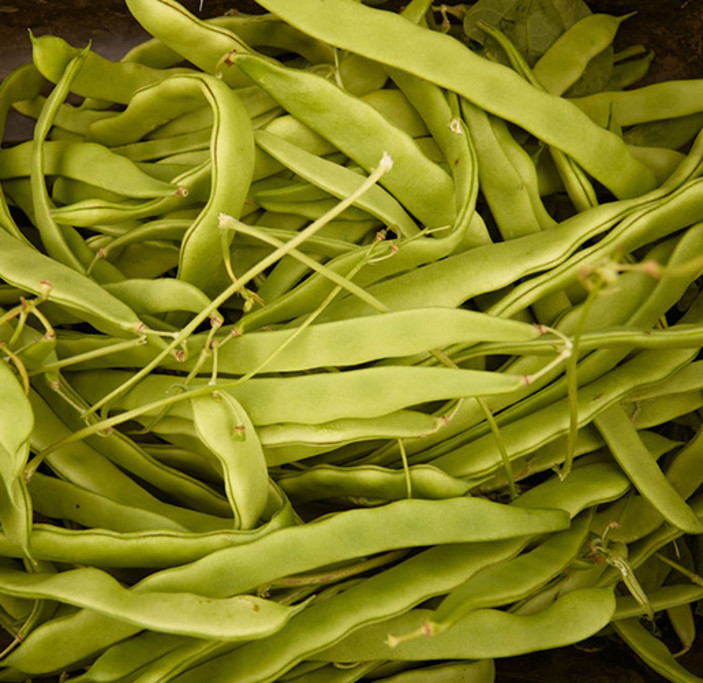 Sonoma Coast Fresh Green Beans