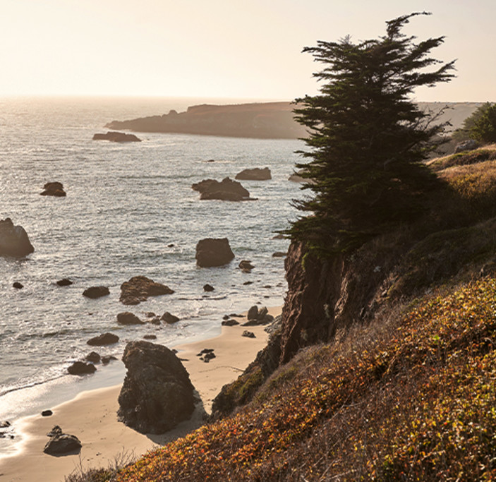 Sonoma Coast Russian River State Marine Conservation Area Goat Rock Ocean & Beach