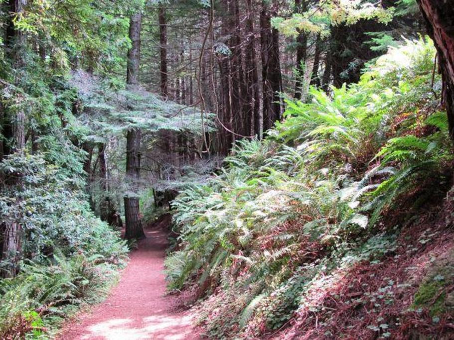 Stillwater Cove Regional Park