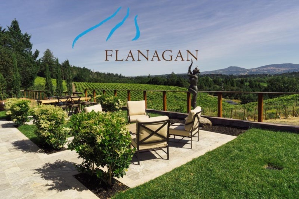 Hilltop Healdsburg Winery Patio with Sonoma Vineyard Views and Lemon Trees