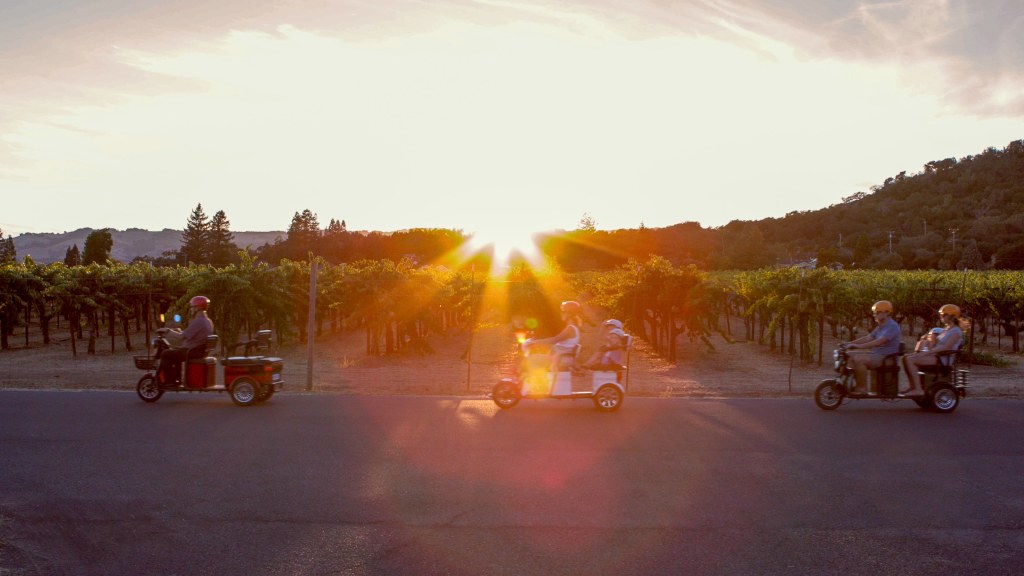 A spectacular sunset over a Sonoma vineyard