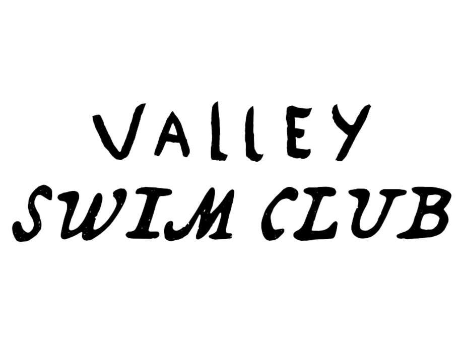 Valley Swim Club Logo