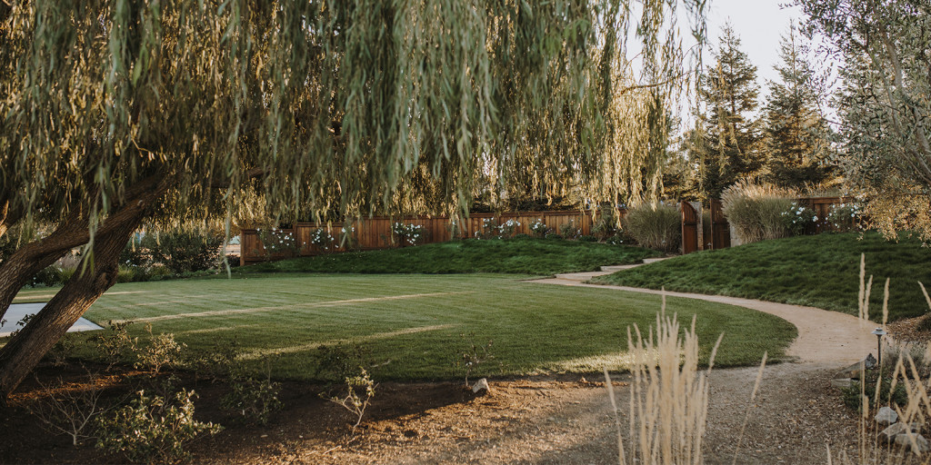The Willow Lawn