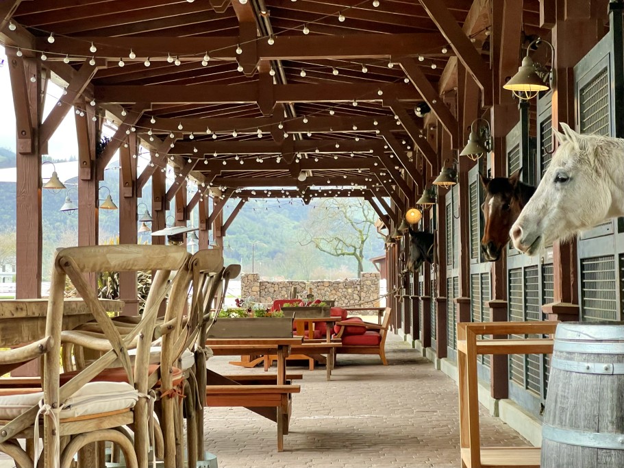 Visit Tamber Bey Winery on one of our Calistoga Wine Tours!