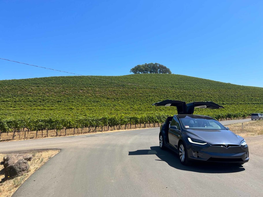 Tesla Wine Tour