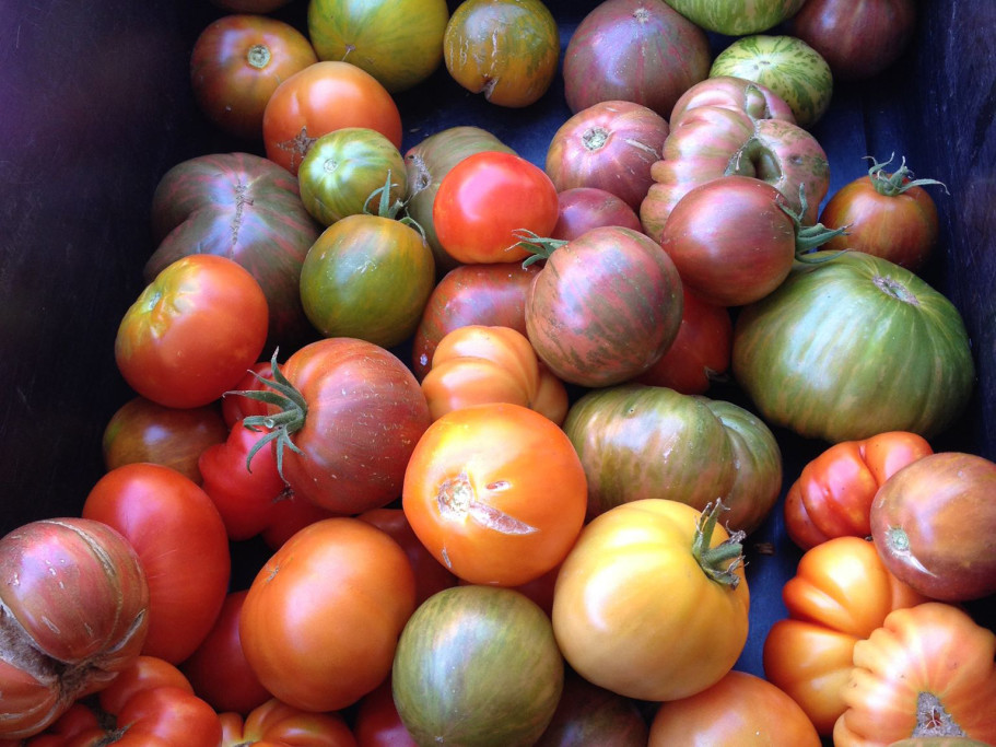 The Springs Community Farmers' Market
