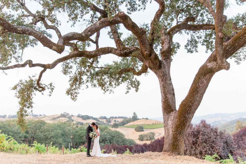 Oak Tree