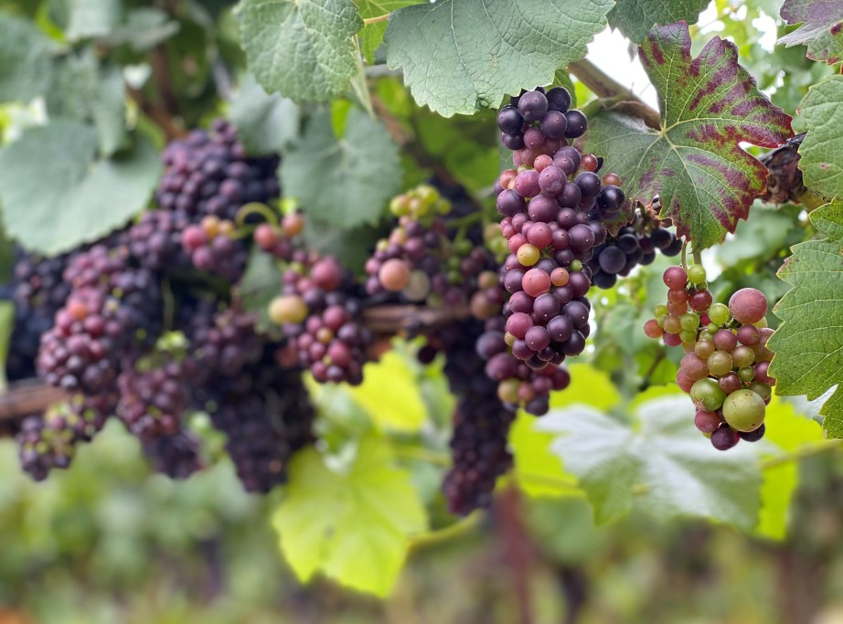 Verasion on Tower Block 2