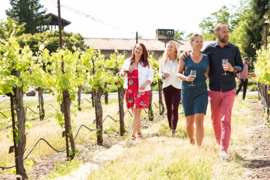 Vineyard Adventure Self-Guided Tour