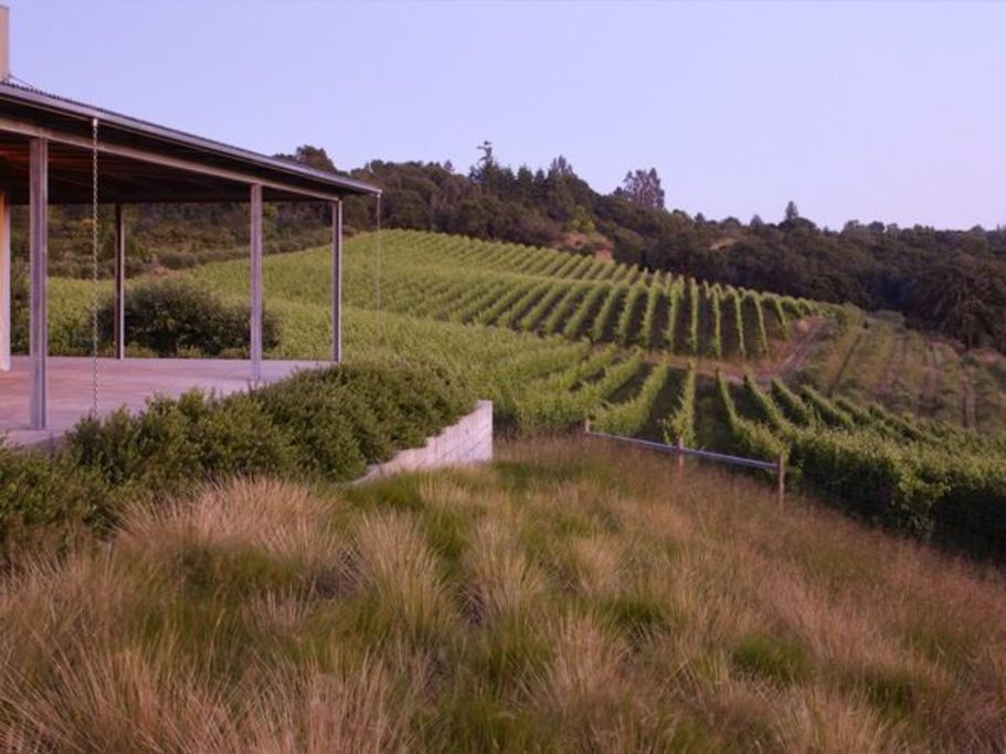 Baker Lane Vineyard Estate