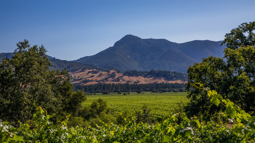 Ehret Family Winery