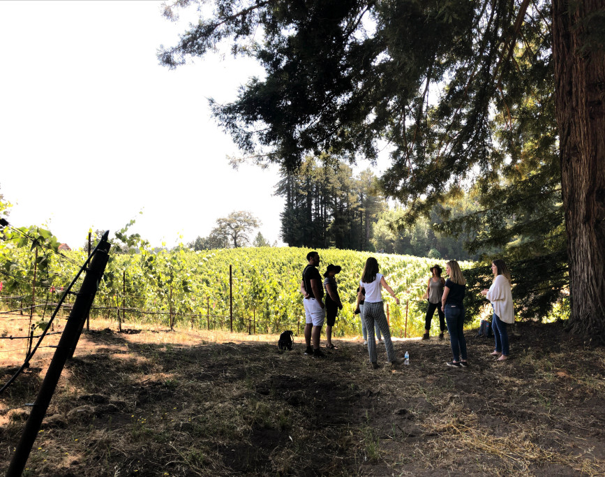 Forest Bathing at Red Car Wine