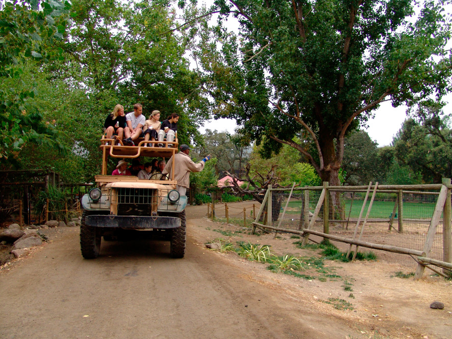 Safari West Wildlife Preserve & African Tent Camp