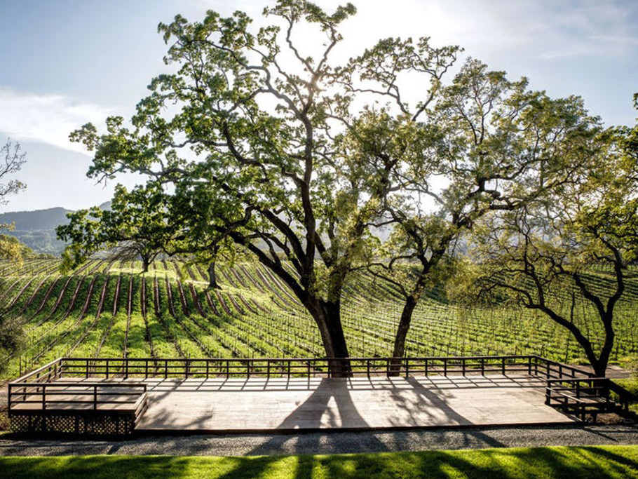 B.R. Cohn Winery & Olive Oil Company ampitheater