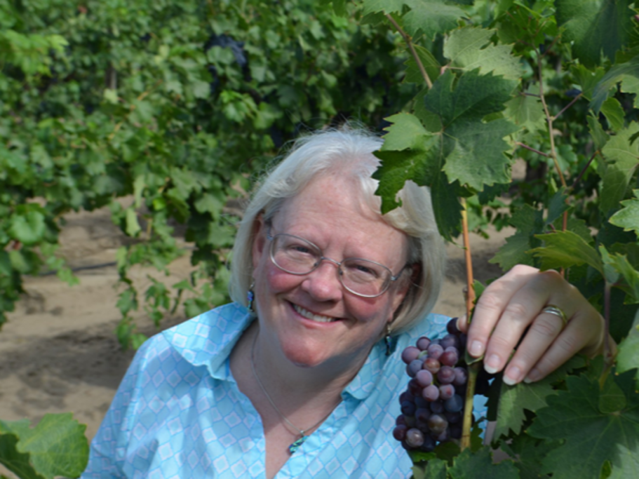 Carol Shelton Wines