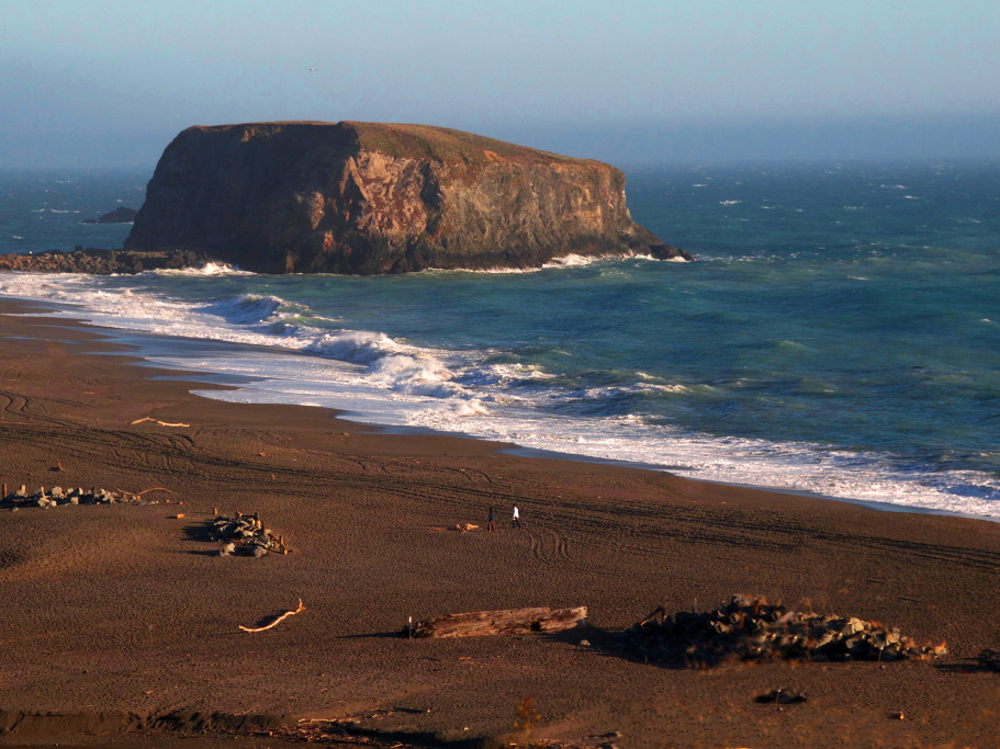 Goat Rock Beach