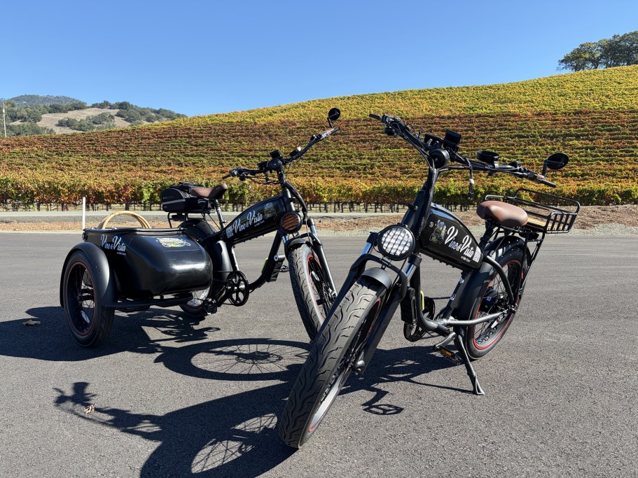Vine and Vista E-Bike Tours - Two Bikes in Vineyard at Kunde
