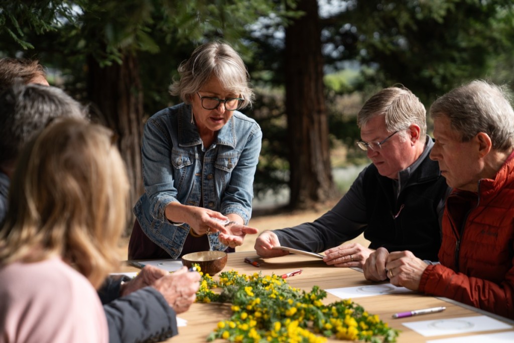 Conversations in the Vineyard
