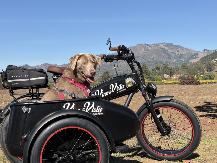 Vine and Vista E-Bike Tours - Enza in Sidecar