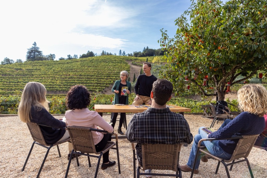 Conversations in the Vineyard