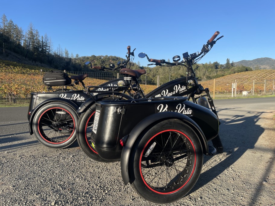 Vine and Vista E-Bike Tours - Sidecar Bikes in Vineyard in Kenwood