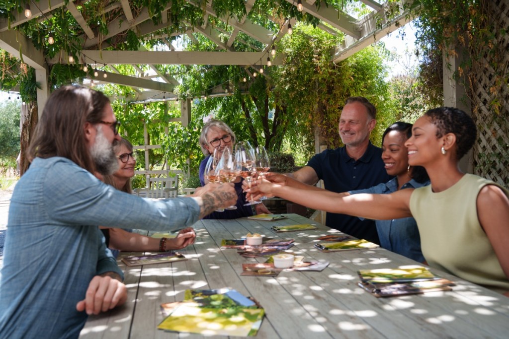 Conversations in the Vineyard