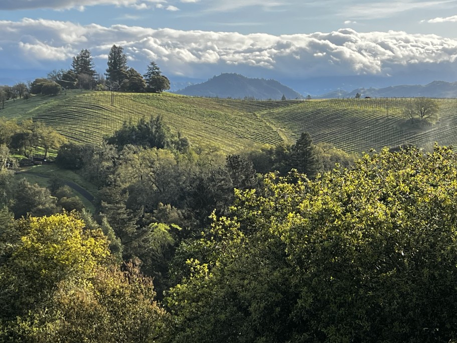 Inspired in Sonoma