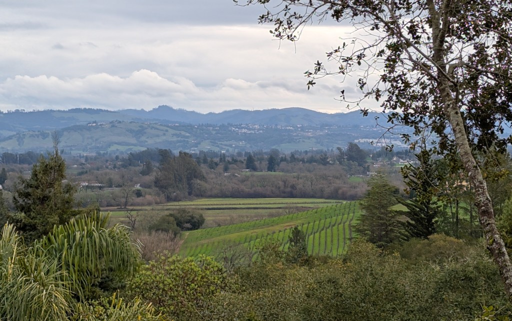 Inspired in Sonoma